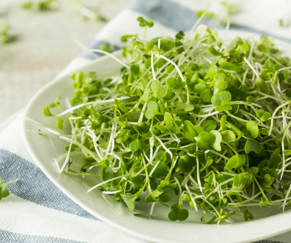 The Benefits of Microgreens (and How to Grow Them)